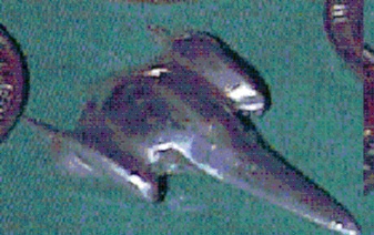 Jpeg picture of Bergstrom's SR-71-Y2K Silverbird miniatures.