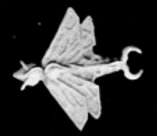 Jpeg picture of RAFM Silent Death Night Brood Dragon Fly miniature.