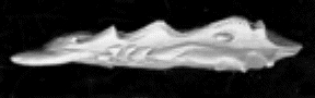 Jpeg picture of RAFM Silent Death Night Brood Eel miniature.